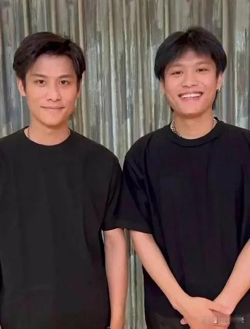 大小杨哥、董宇辉、辛巴、李佳琦这些头部主播就像国内经济晴雨表。
我就是把大小杨哥