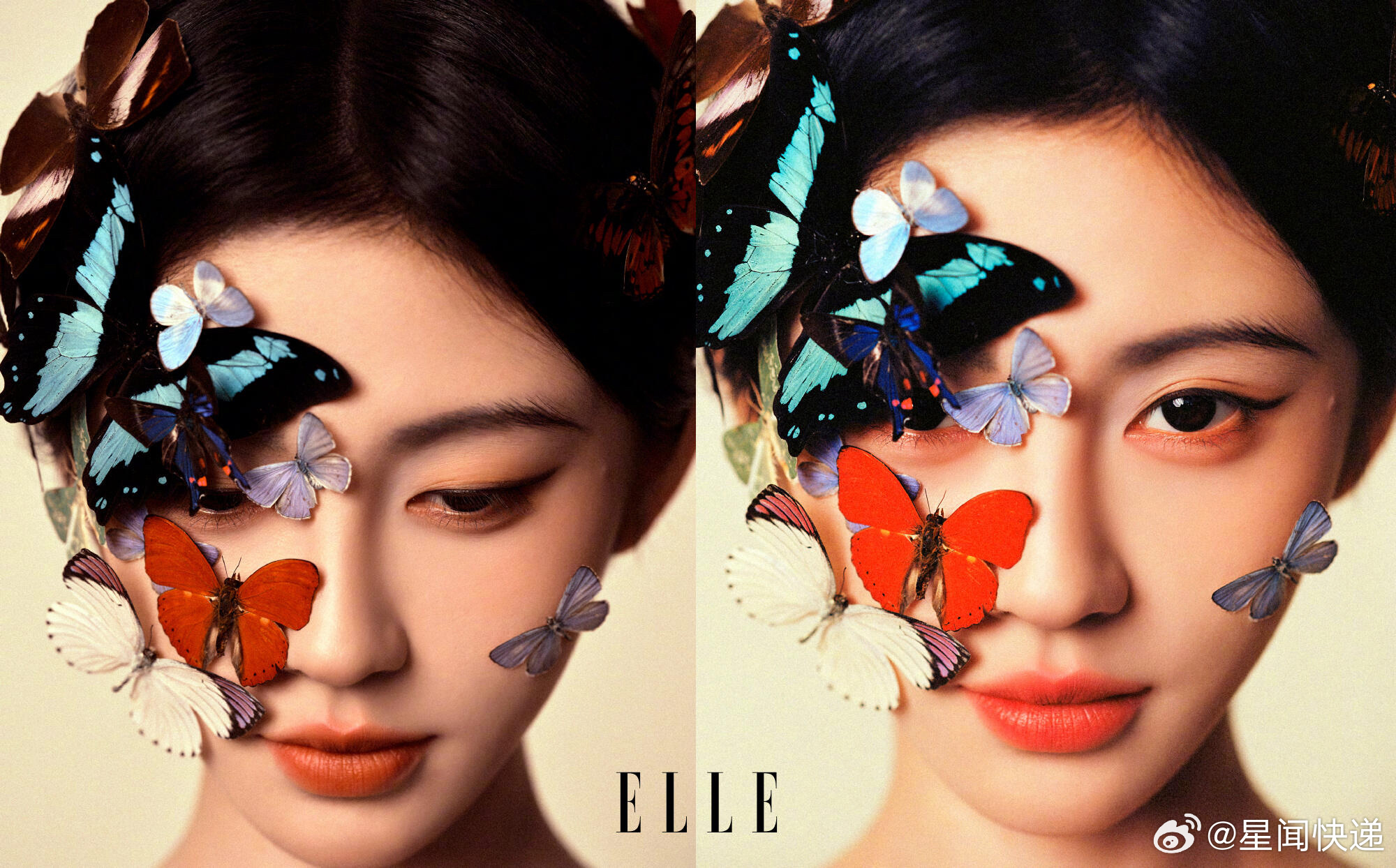 这个鞠婧祎美成啥了鞠婧祎ELLE四月刊 美到失语！以《雍正十二美人图》为灵感，将