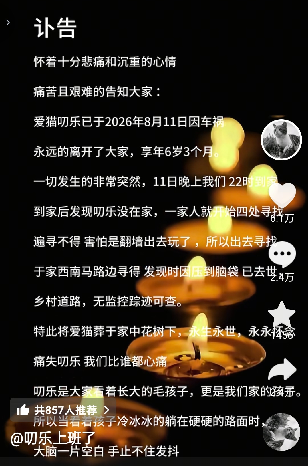 关注了很多年的小猫，散养的猫，刚刚刷到竟然出车祸走了。这只小猫长得跟悟空很像。结