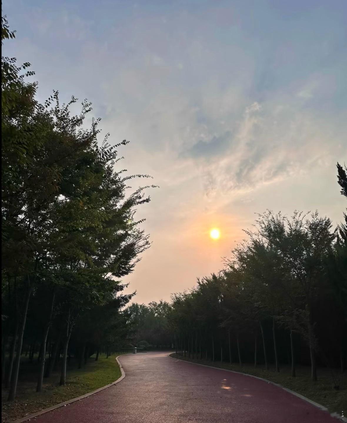 晨跑5公里，唤醒元气一天🏃‍♂️ ​​​