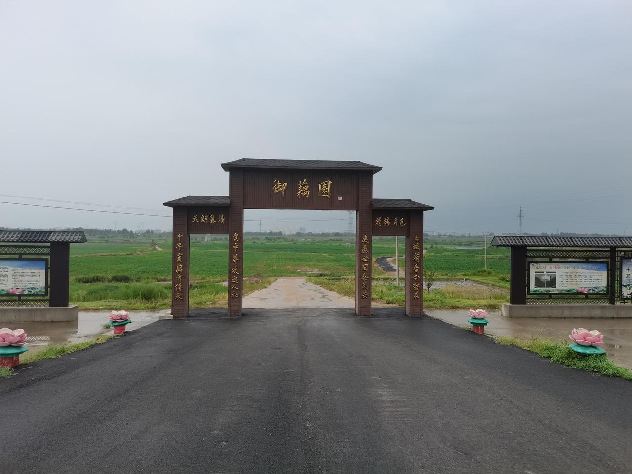 十里荷塘
御藕园
在大沙河流域
西赵庄村南
有一大片荷花塘
连绵数公里
莲花荷花