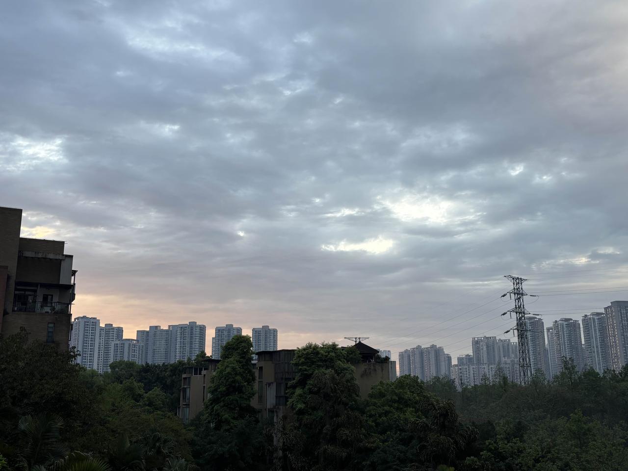 要快速发展，就必须用意志取代契约。