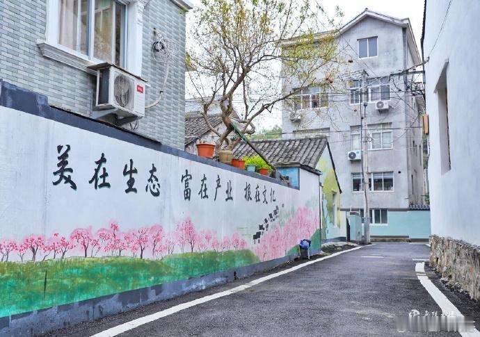 从村居变智居来看台州乡村变形记 台州乡村用科技重塑生活图景，数字赋能，让传统村落