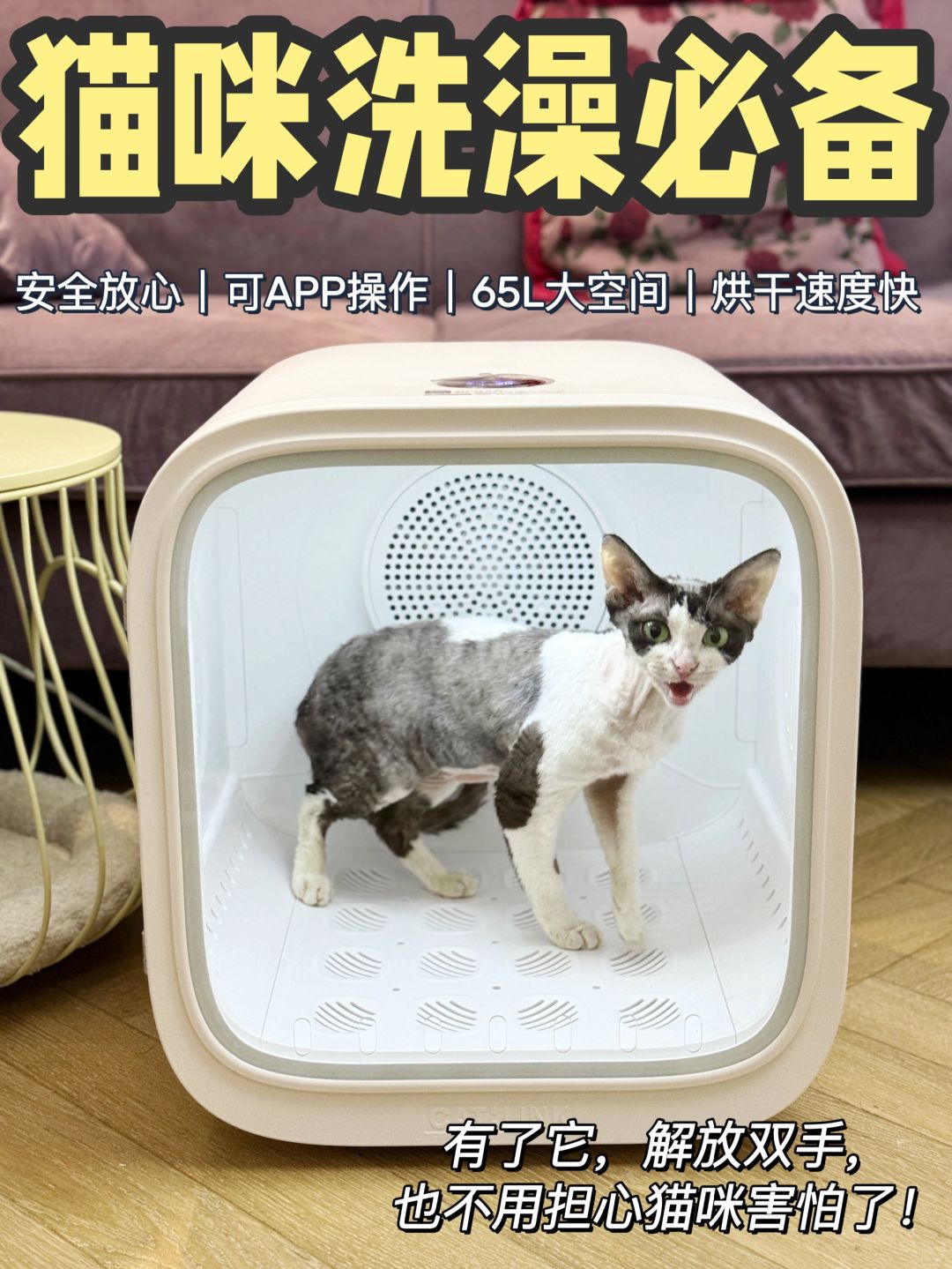 在家给毛孩子洗澡🛁有了它事半功倍