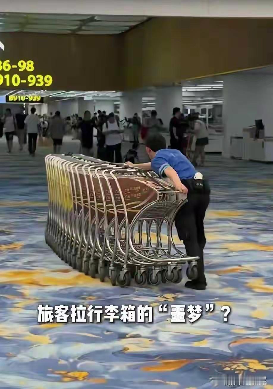 砸3300万铺羊毛地毯！
白云机场旅客拉行李箱像犁地，
网友吵翻
白云机场T3耗