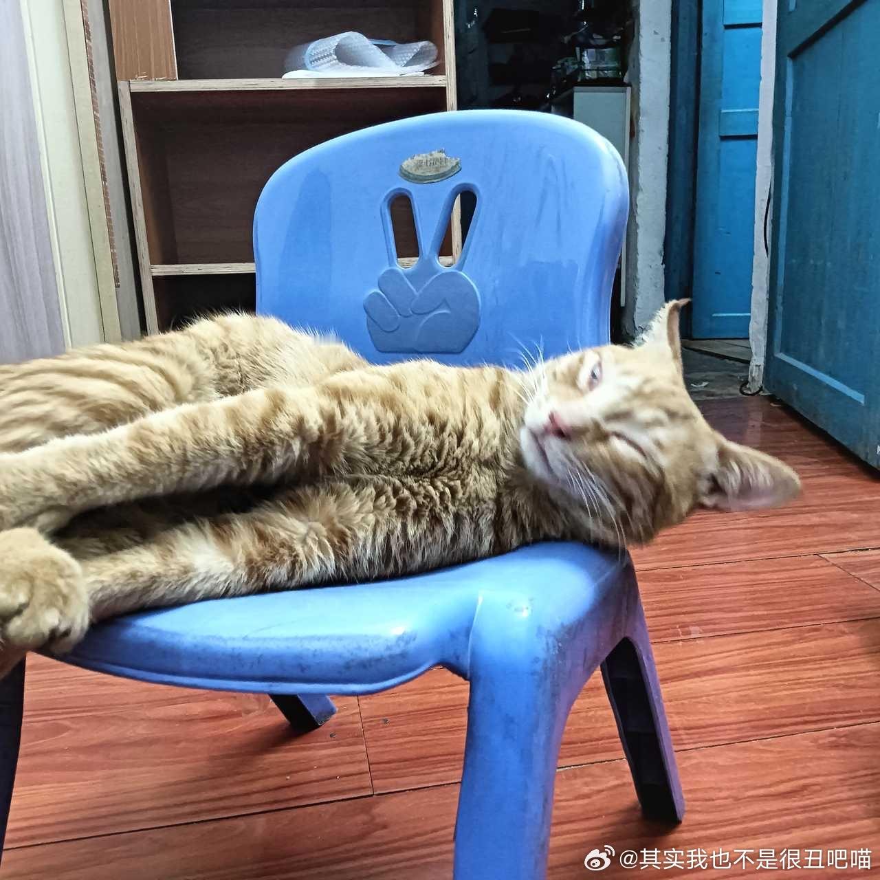 49335【脸像大芒果】 