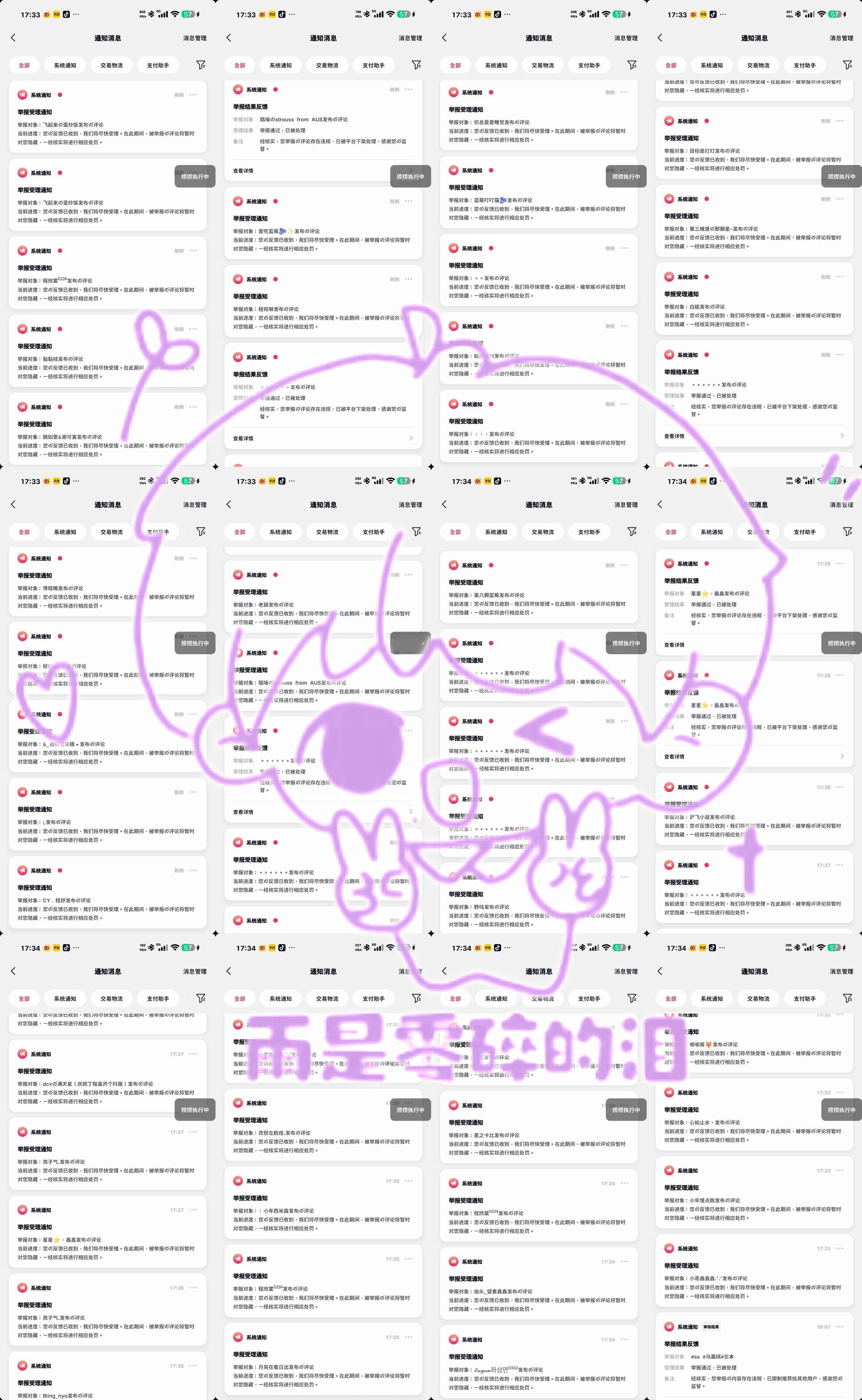 🫘pl  专栏 · 小雨的📚🍊栏