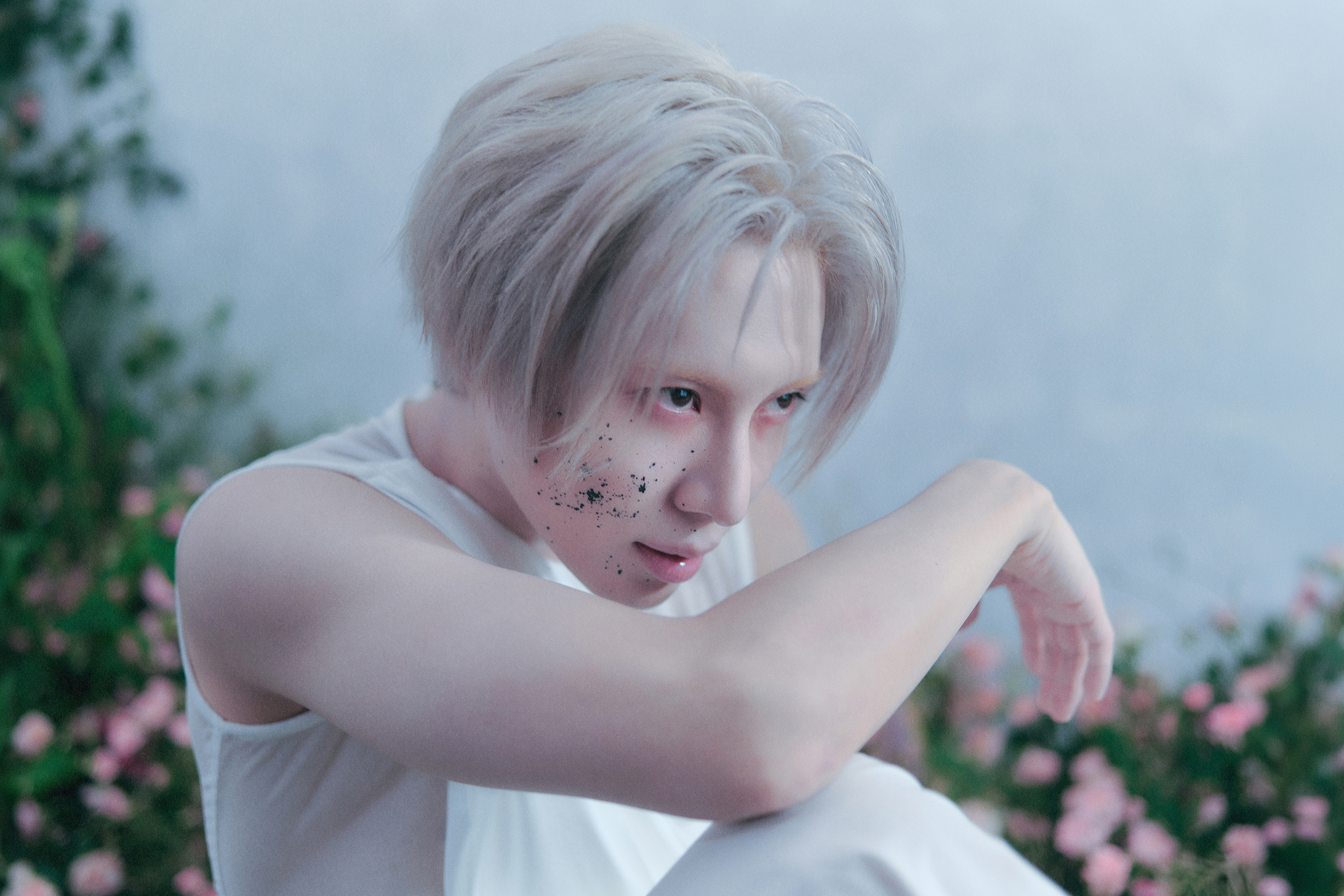泰民｜TAEMINPHASE 1 : Soft ViolenceSweet Vi