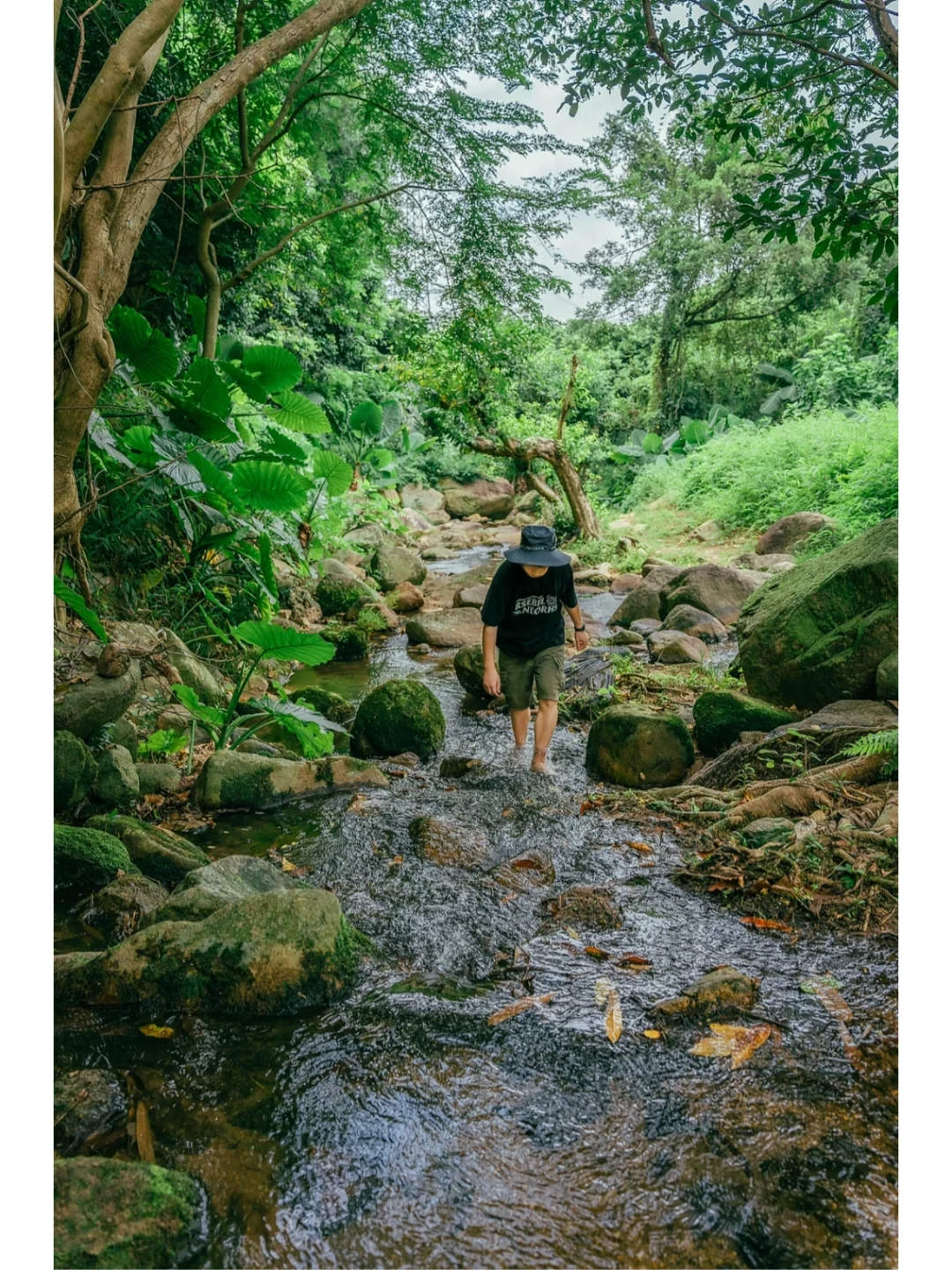 深圳小众清凉溯溪地，远离城市治愈山野⛰
