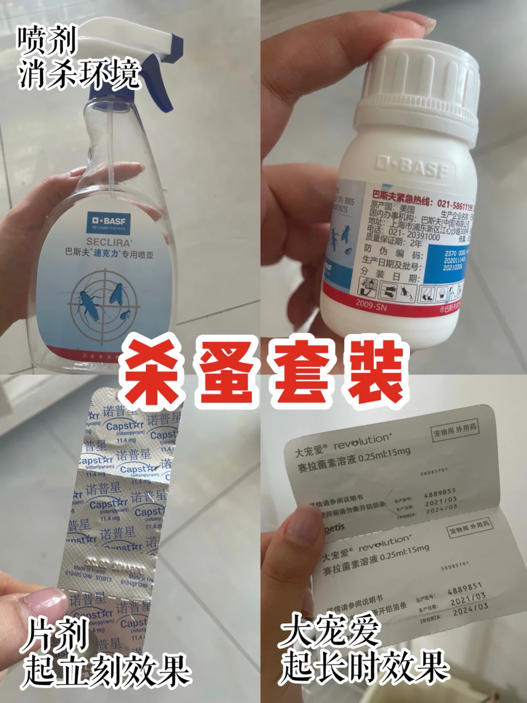 快速驱虫｜猫咪有跳蚤怎么办！？