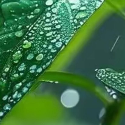 今日晴好，也阻挡不了雨后的冷风，但心情依旧是美丽的，一切都会好起来，都能够解决，