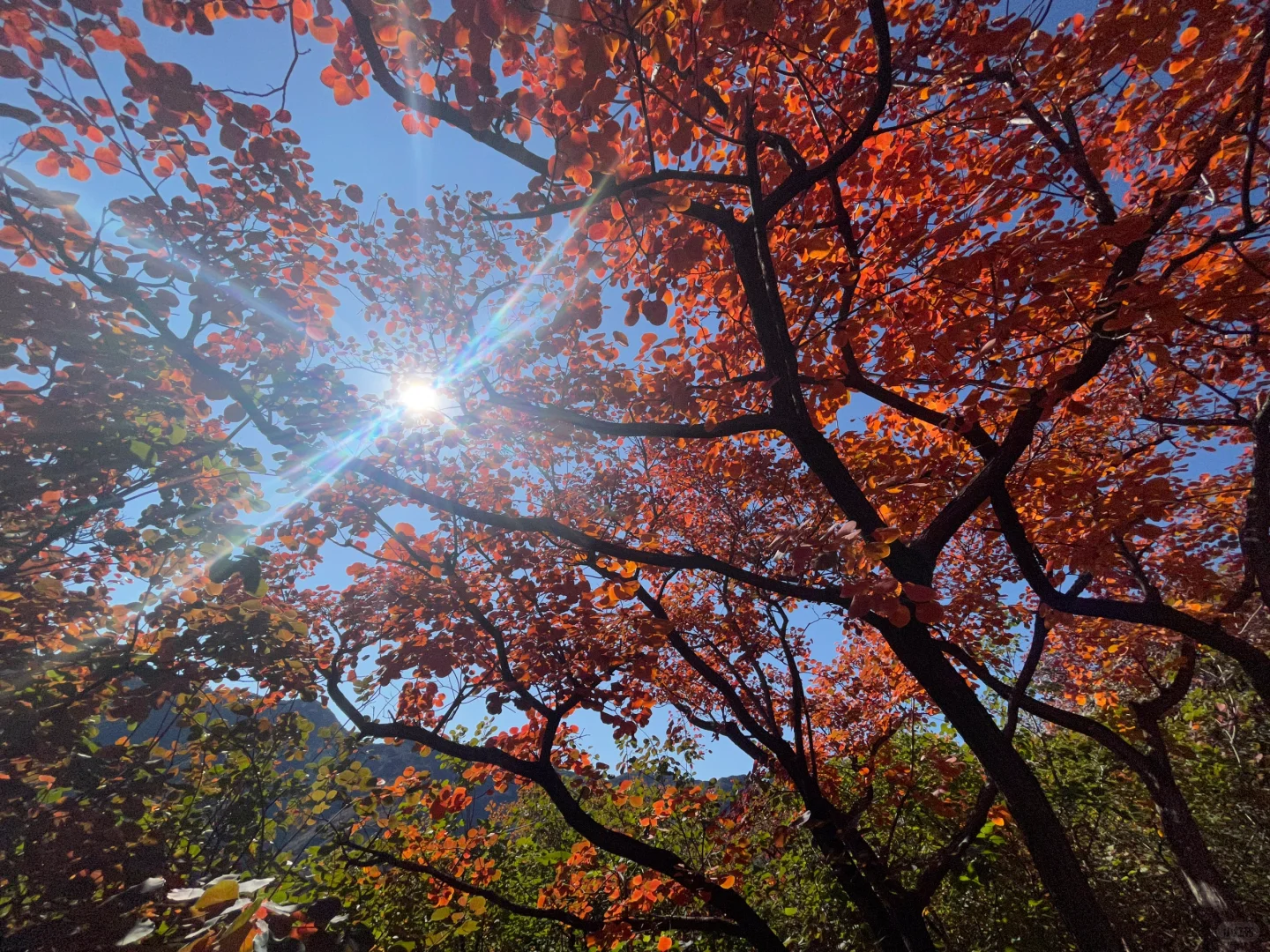 10月26号坡峰岭一日游活动召集帖