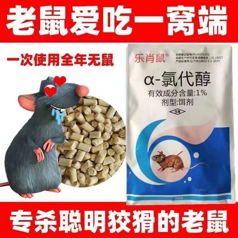 四🐭 