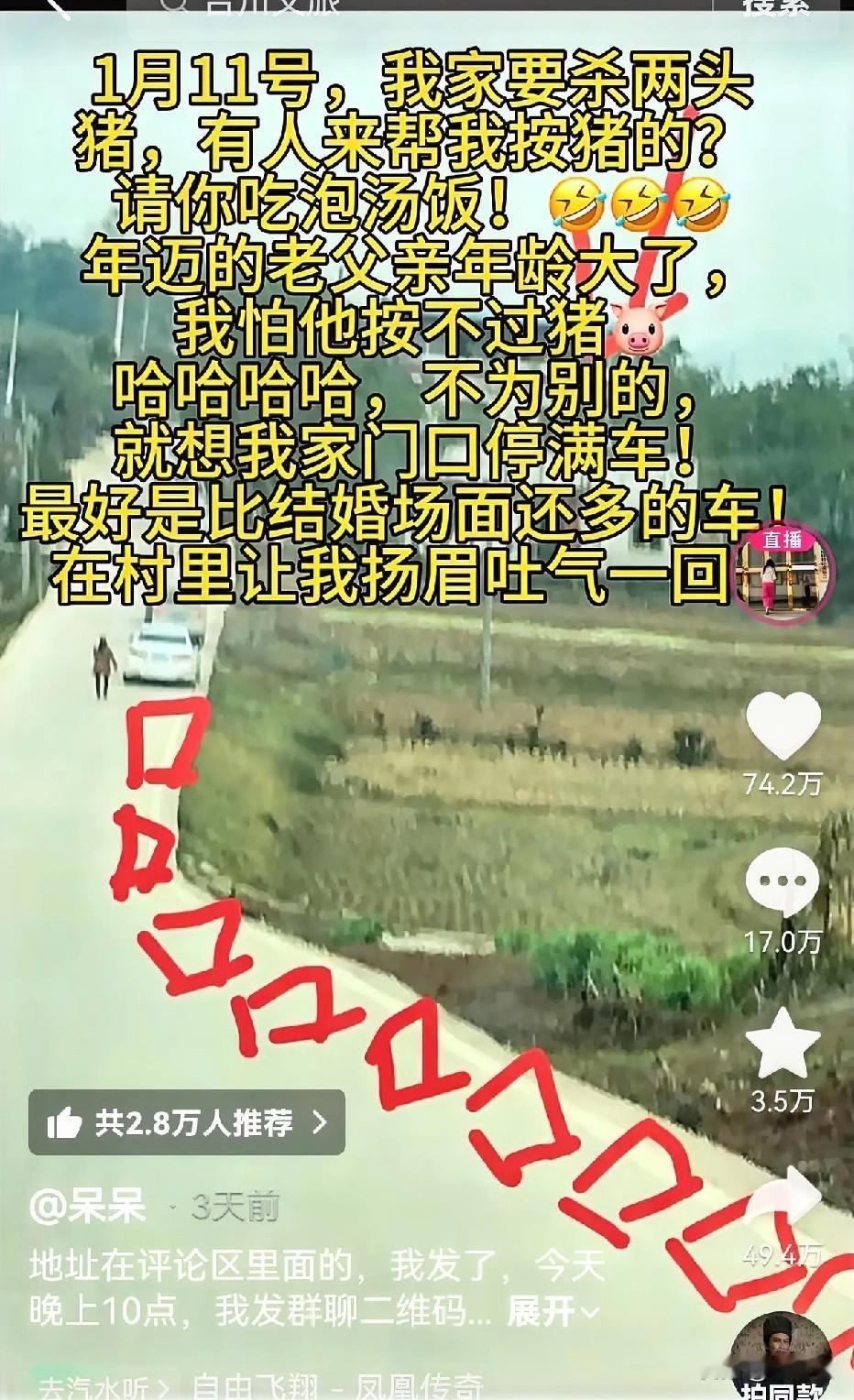 等人走了，不知道呆呆姑娘会不会被爹妈骂死，一句话把我两头猪搞没了！[捂脸][捂脸