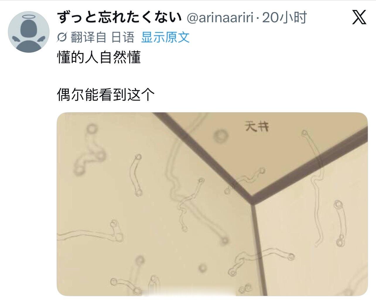 没懂流汗黄豆的瞬间