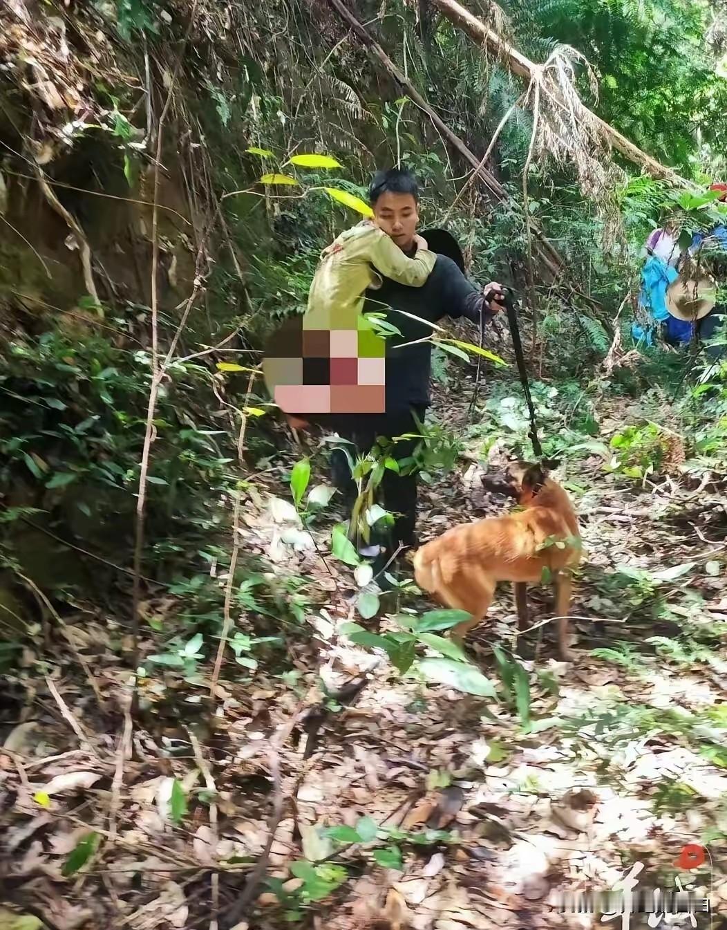 奇迹发生了！肇庆11岁男孩误入无人深山，失联13天，就在所有人都以为孩子已经遭遇