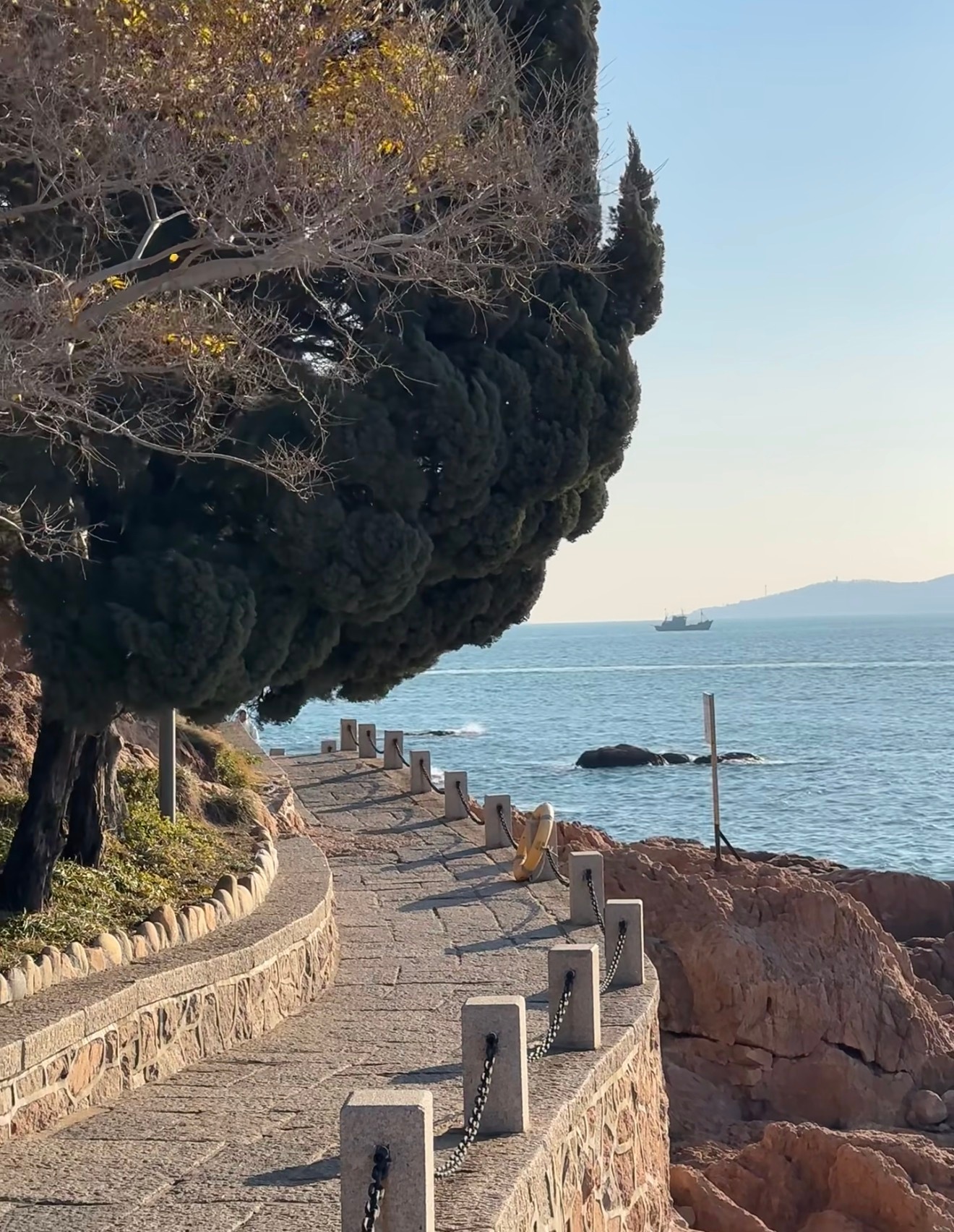 世界为你倾倒冬日的青岛，比你想象的还要温暖——海风吹过老城区，路灯映在红瓦屋顶，