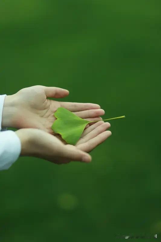 对联是中华文化里超有趣的存在，就像“片片绿叶送和风”这句下联，读起来清新又有画面