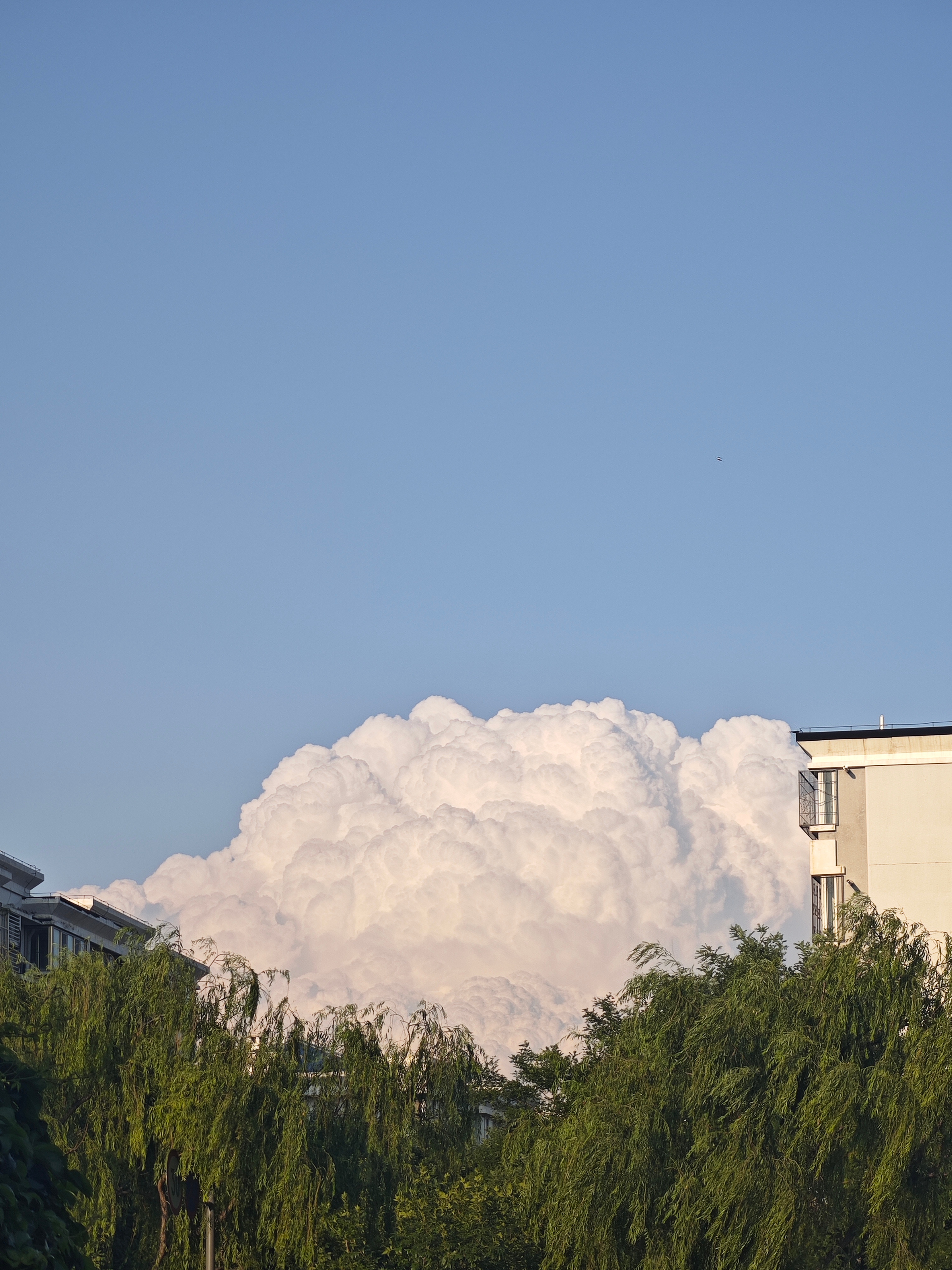 ☁️ 