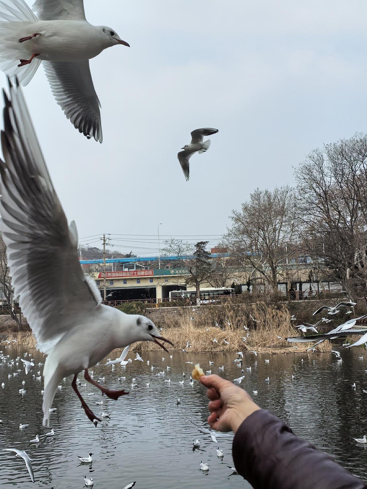 楼上邻居是李本泉老夫妻俩，年龄都是94岁，能自食其力，独立生活。
李本泉夫妻俩有