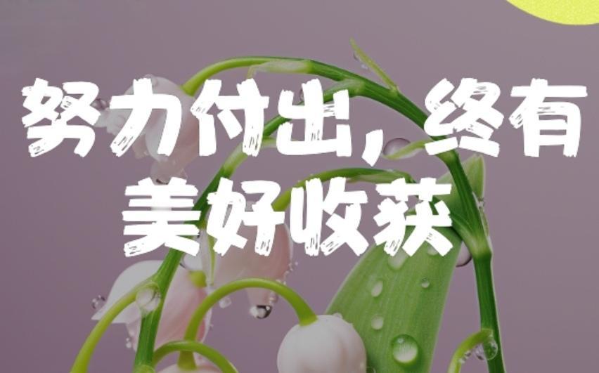 ＃分享每日正能量＃
       努力和收获都是自己的，与他人无关。只有自己足够