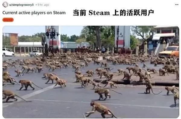 虎先锋：这根本打不过来[我想静静]