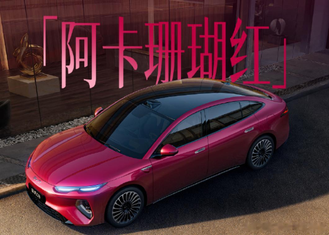 兄弟们，全体起立！海豹08预扣款正式爆出来了！四驱顶配居然才25万！！之前官方预