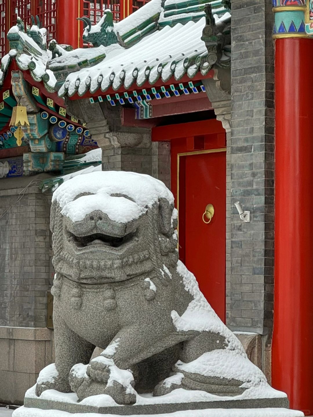 青岛下雪，笑发财了
