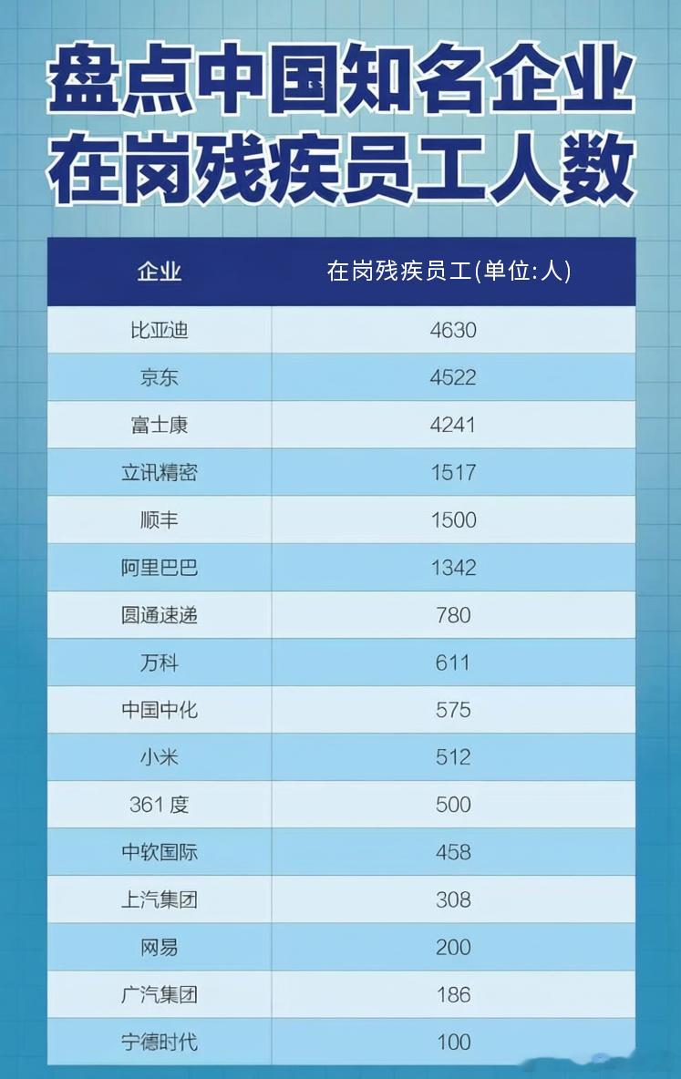 盘点大厂残疾员工人数2025国际残疾人日比亚迪 今天是国际残疾人日，扒一下数据，