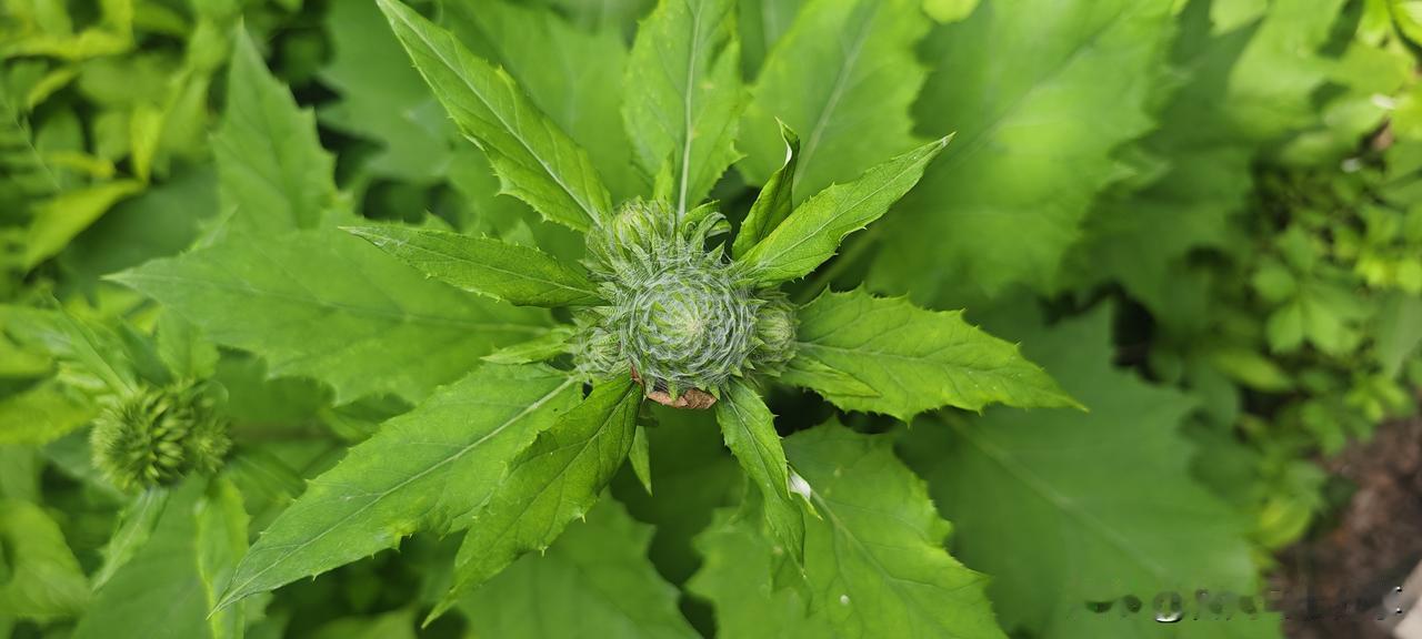 你说，人老了怕什么怕这些没做到吧：3岁时，不尿裤子；5岁时，能自己吃饭；18岁时