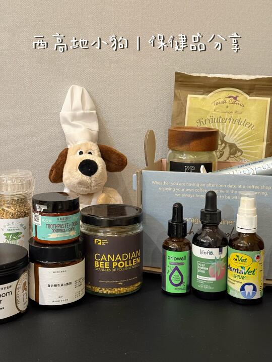 西高地保健品分享｜吃出长寿健康小狗