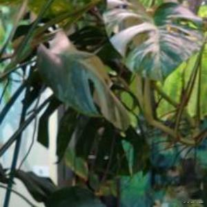 祝每个不真诚的人，一直烂在可恶的新鲜感循环里。生活碎碎念人生的100种可能