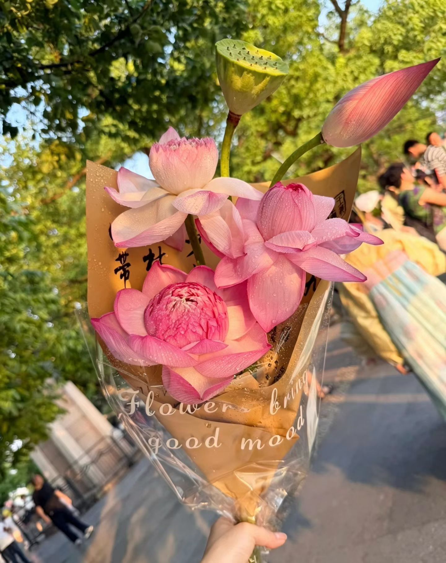 立秋 今天立秋，夏天还没走，秋天已经悄悄探头了🍂老话说“立秋贴秋膘”，小时候奶