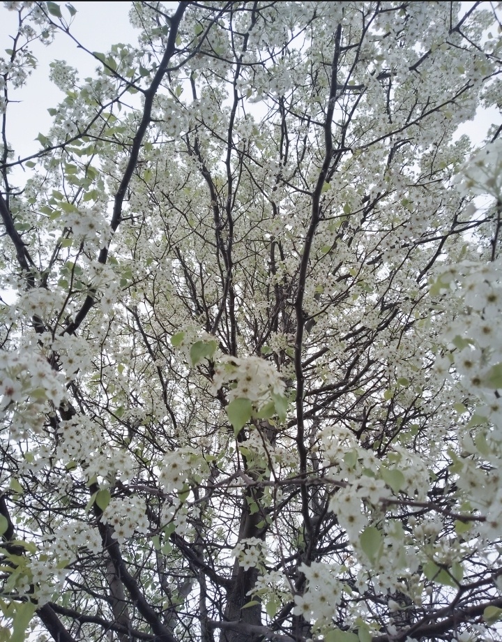 每日一善[超话] 你可以哭但不能输，你可以难过但不可以落魄，你不努力怎么会知道自