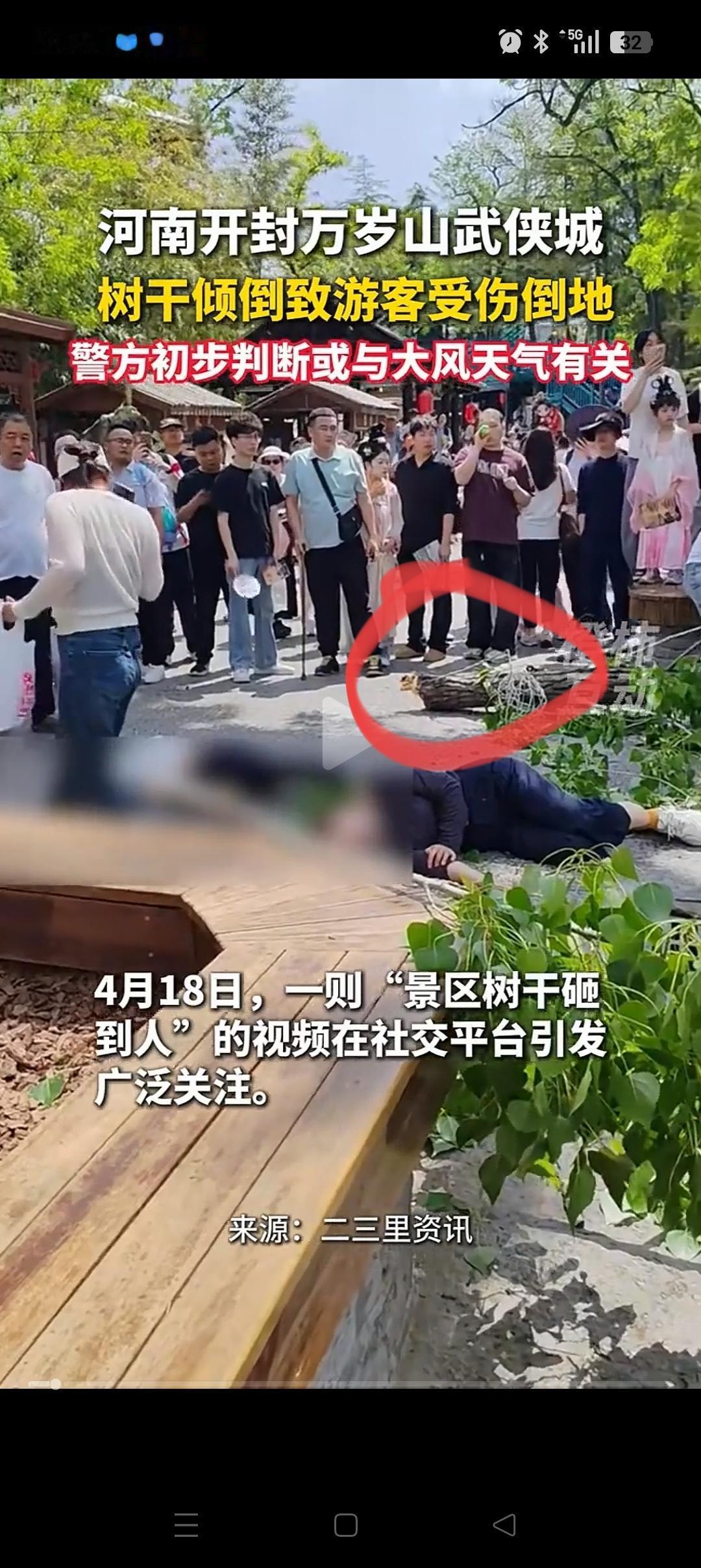 开封万岁山这事，
看得我心里咯噔了一下！
没想到，这么大一根树干也能掉下来，还直