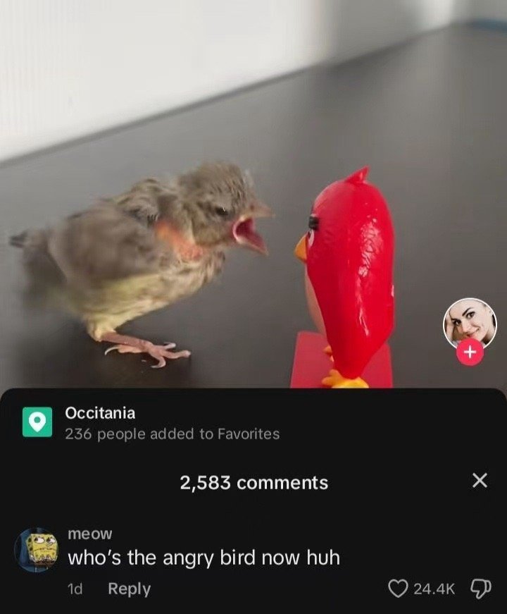 real angry ​​​