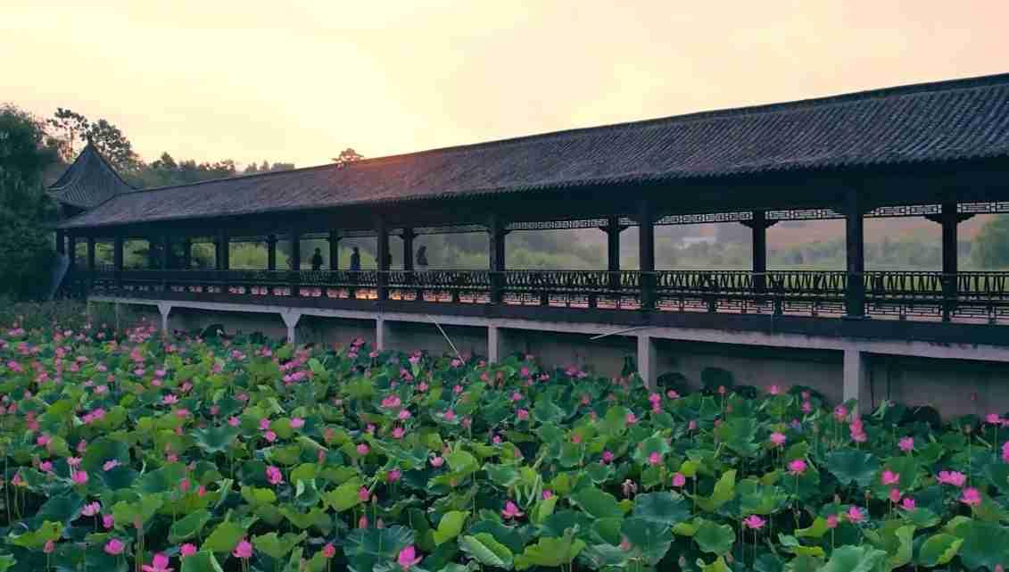 我的今日状态：😁轻松愉快
我这里的天气：☀️晴天