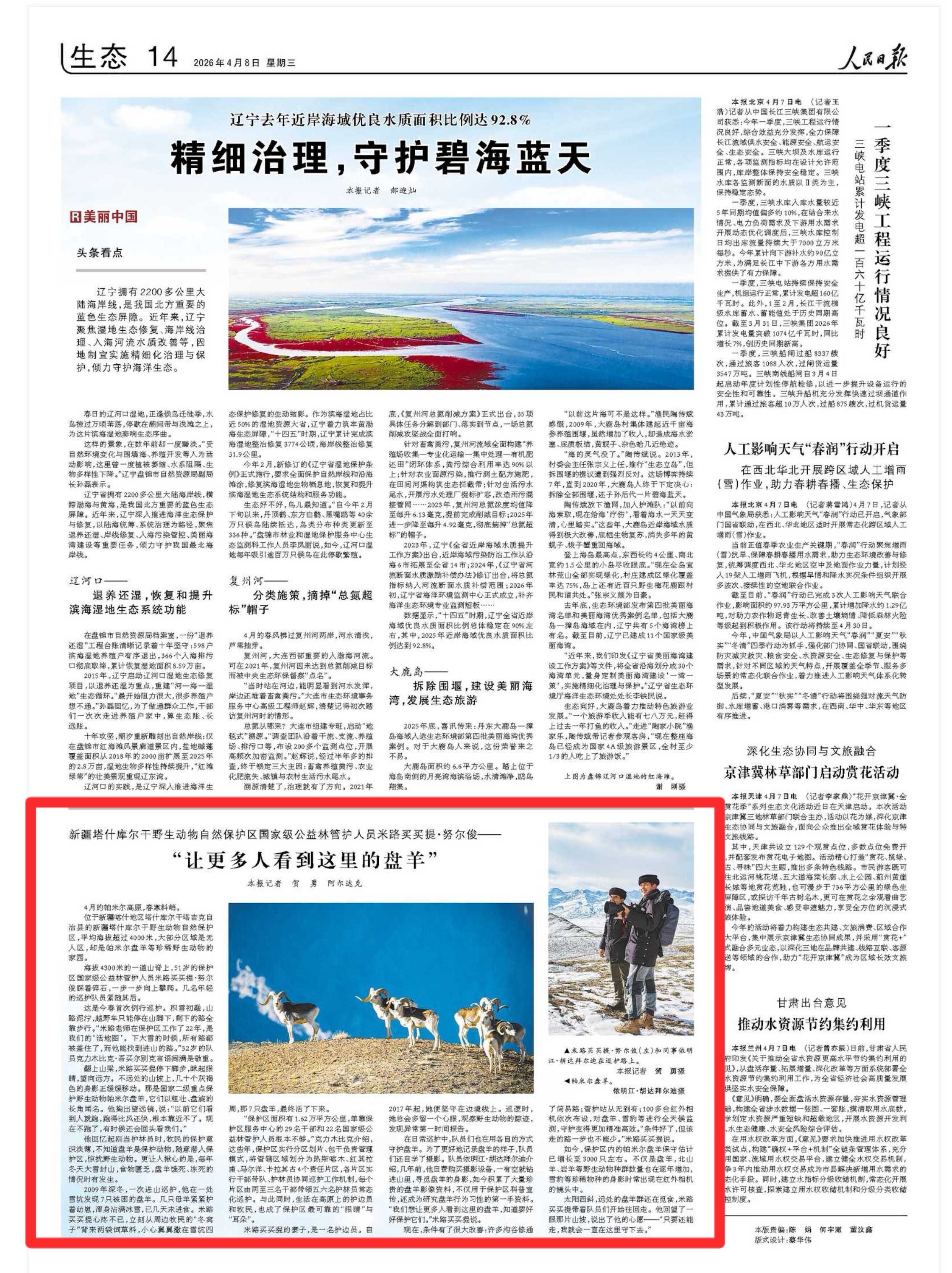 人民日报看新疆|“让更多人看到这里的盘羊”