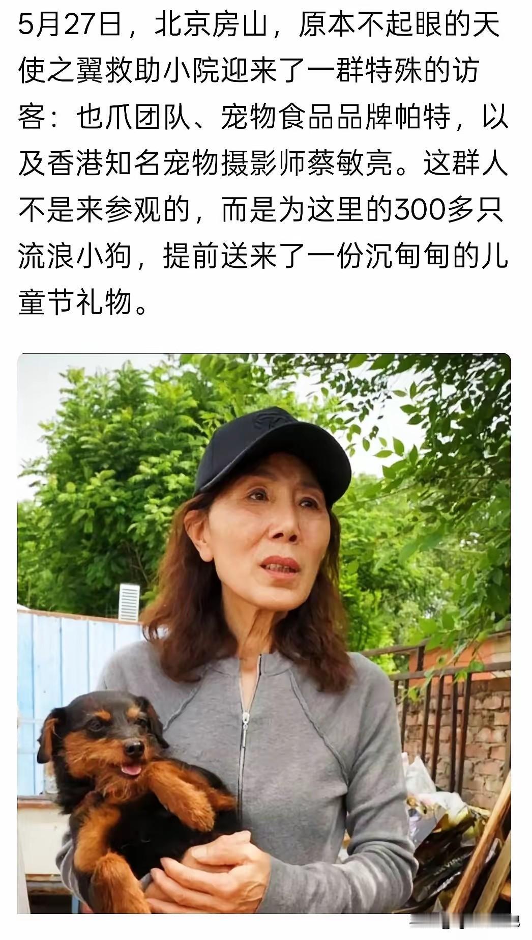六一国际儿童节是专门为保护未成年而设立的节日，某官媒发文称“300只流浪狗收到了