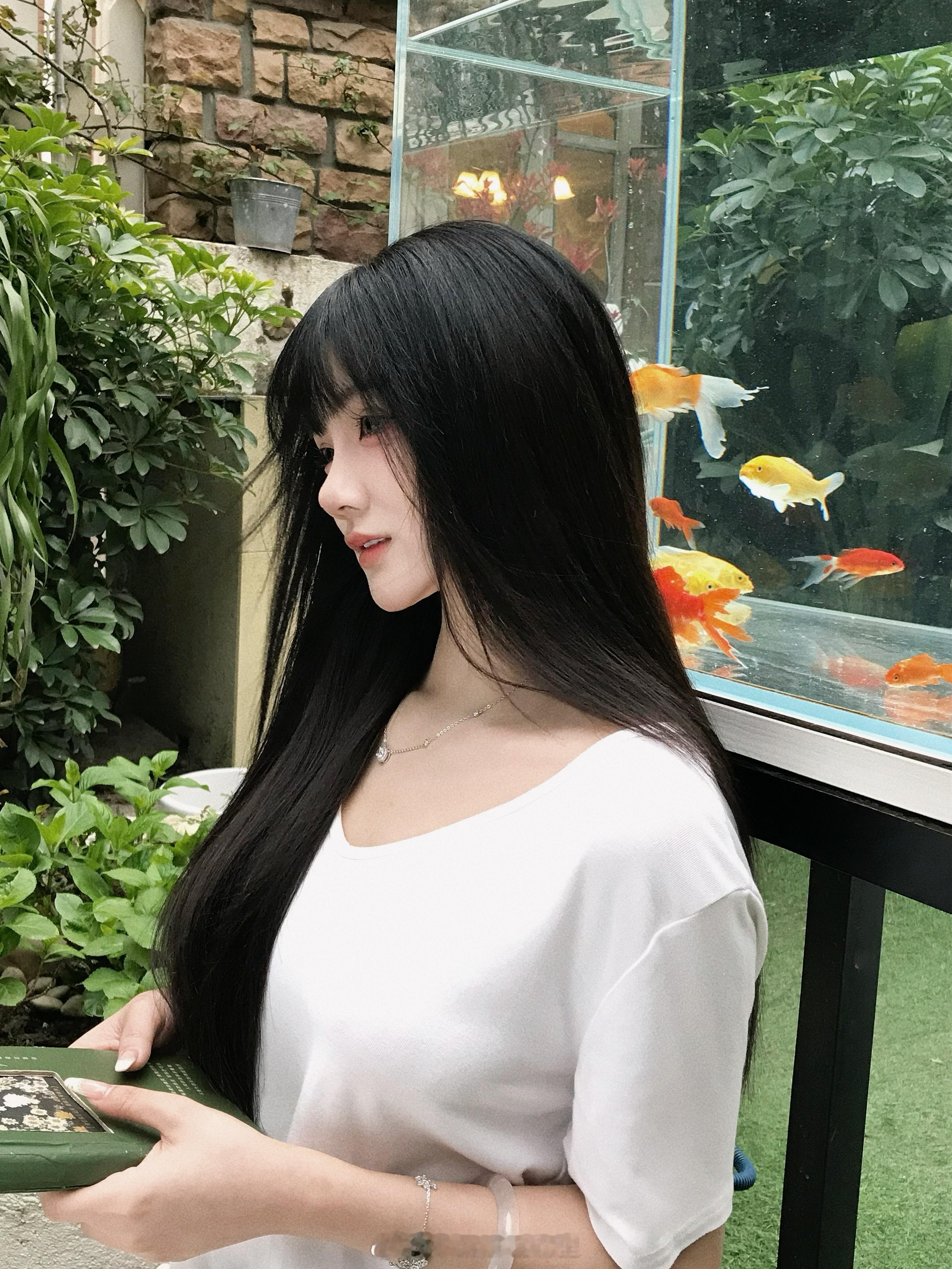 我们会在春天相见 ​​​