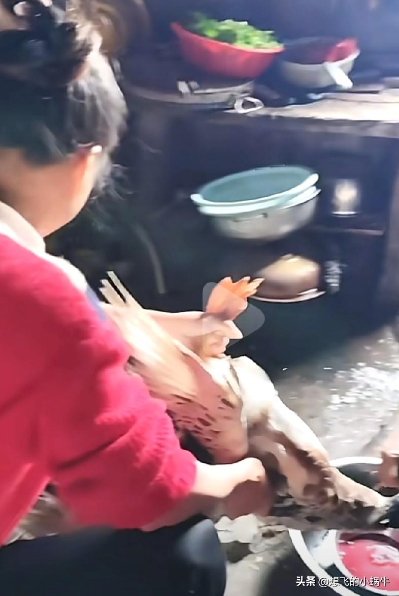 ​但凡你观察身边那些所谓的可怜人，你就会发现，可怜之人真的必有可恨之处！！
环境