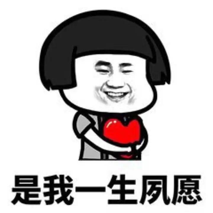 圆梦一生。
还有卡尔德拉诺雨果和高桥布鲁娜，比赛就是一次甜蜜的旅行，乐在其中。