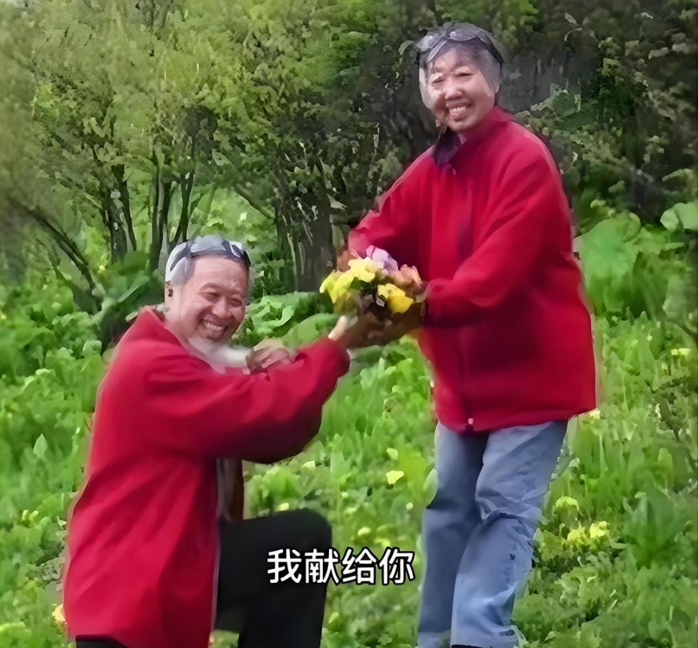 当医生冷冰冰地宣告高志侠只剩三年寿命时，她的世界瞬间崩塌了。丈夫谷向东却做出了令