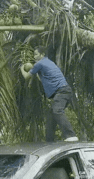 这个有那么好吃吗？你也太迫不及待了吧[捂脸]