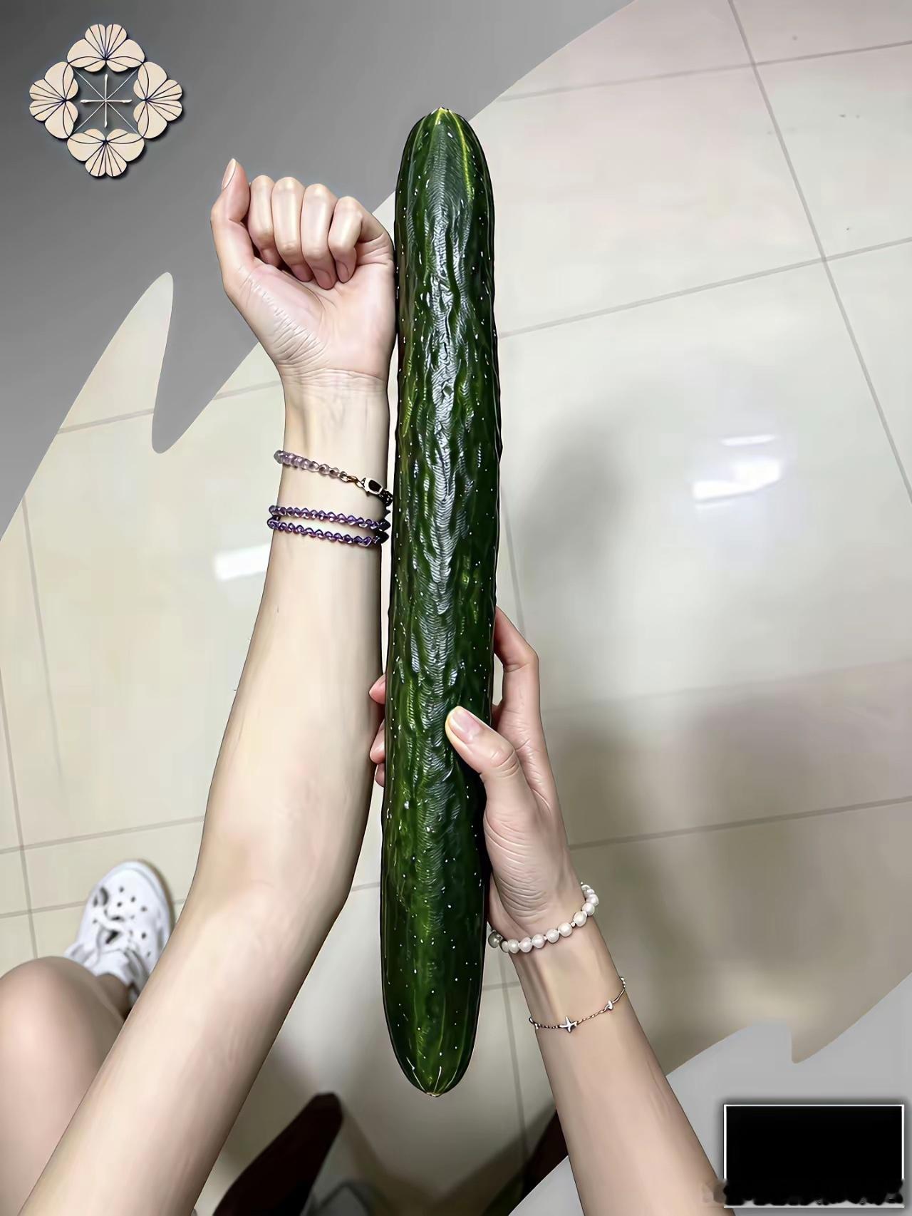 这个黄瓜目测绝对超过二斤了！真不知道谁会买，反正我不会买，一顿根本吃不完 ​​​