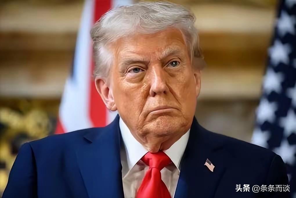 特朗普心里的小算盘
全给你扒干净了！
 
特朗普把今年前半年安排得明明白白，每一