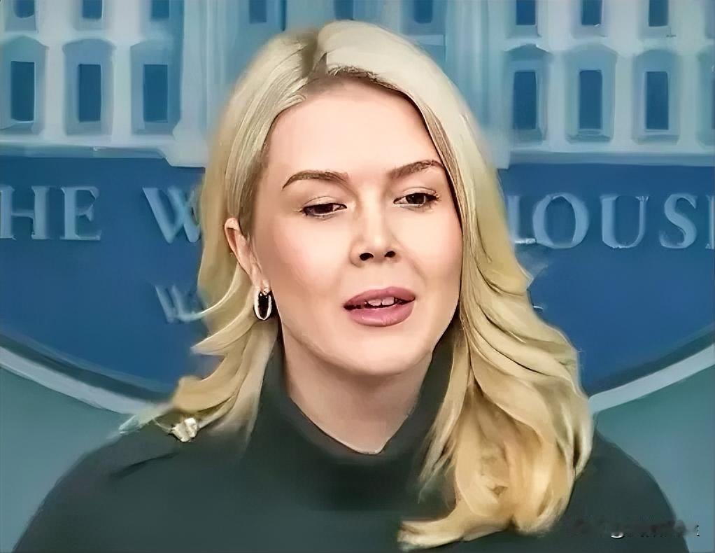 记者:“诺姆说亚历克斯·普雷蒂犯下了国内恐怖主义行为，斯蒂芬·米勒称他为刺客，总