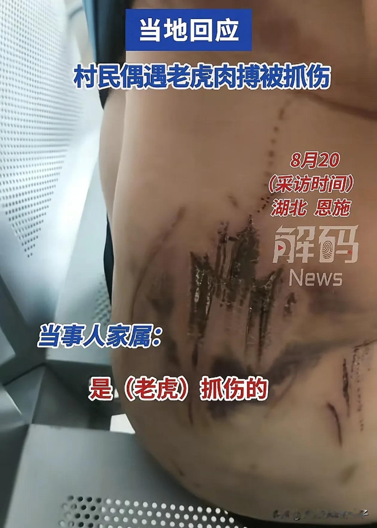 这大爷战斗力真强悍！近日，湖北恩施一大爷说，他在地里干农活时，突然窜出一只老虎把