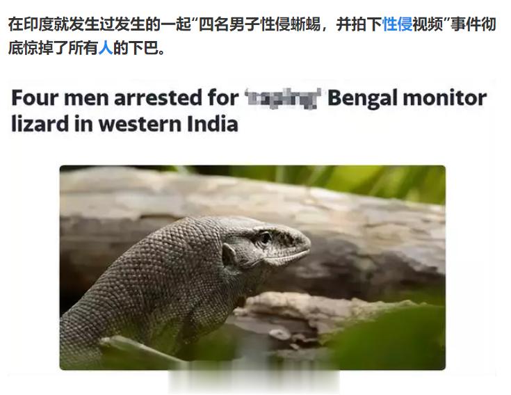 #官方通报讲座称性骚扰是因女生风骚# 问问讲座的专家：这只蜥蜴被印度四人性侵，也