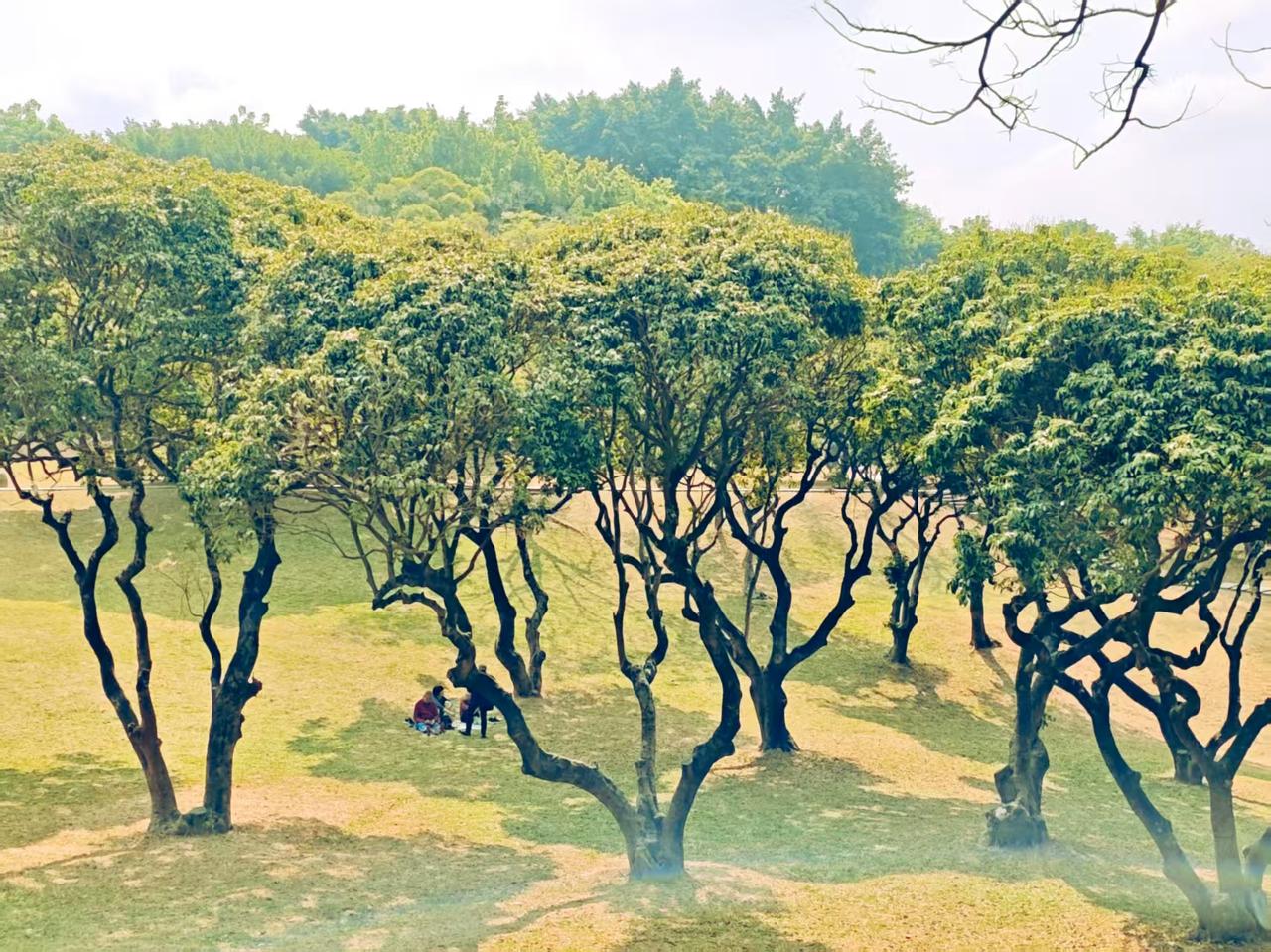 女人名字与性格
含红的爽朗。
含雪的纯净。
含婷的优雅。
含琼的温婉。
含翠的灵